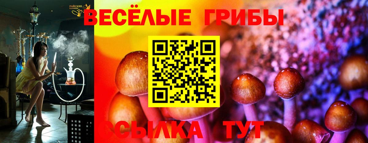 Лангепас  Псилоцибиновые грибы прущие грибы  Вход с VPN  Галлюциногенные грибы Cubensis 